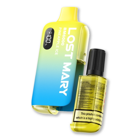 LOST MARY BM6000 PREFILLED POD KIT